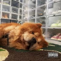Knucks - Studio Fit Riddim