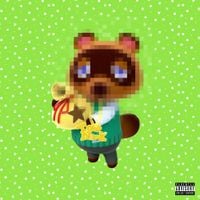 Shofu - Tom Nook