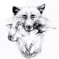 Lowell - Lone Wolf
