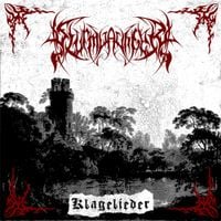 Sturmw&auml;chter - Klagelieder