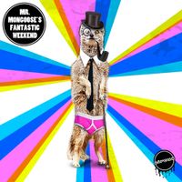 Various Artists - Mr Mongoose's Fantastic Weekend