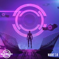 Various Artists - Subsidia: Night Vol. 10