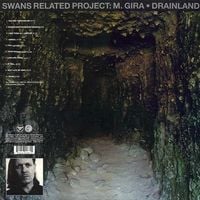 Michael Gira - Drainland / Sacrificial Cake