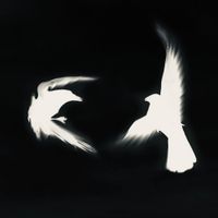 Jfarrari - Last Pursuit