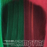 Amin&eacute; - Campfire