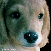 夕方の犬 [Dog in the Evening] - lost soul