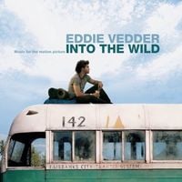 Eddie Vedder - Into the Wild