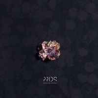 The Prids - Do I Look Like I'm In Love?