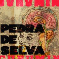 Curumin - Pedra de Selva