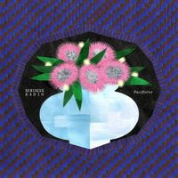 Pasiflorez - Hibiscus Radio