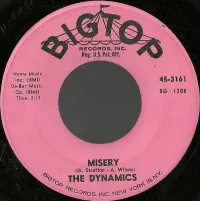 The Dynamics - Misery
