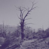 Zimoun - Dust Resonance