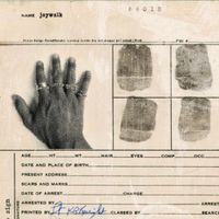 Joy Walk - Rings