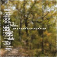 Chris Juarez - Audiondra