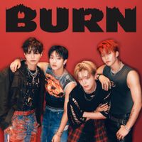 VANNER - BURN