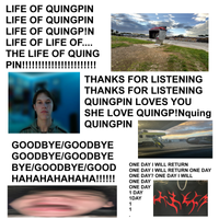 Yung Quingpin - Life Of QuingPin