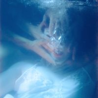 chokecherry - Messy Star