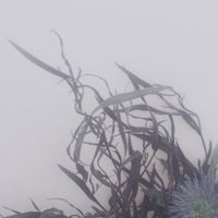 Various Artists - bblisss