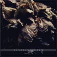 Daybreak Of Silence - DECISION