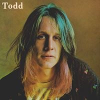 Todd Rundgren - Todd