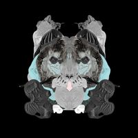 El Cuarteto De Nos - Rorschach