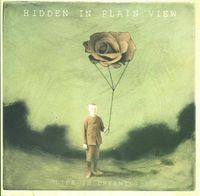 Hidden In Plain View - Life in Dreaming