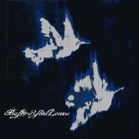 beforeyouleave - beforeyouleave