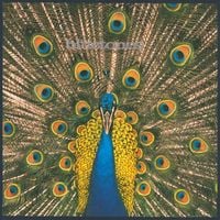 The Bluetones - Expecting to Fly