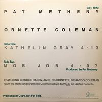 Pat Metheny - Kathelin Gray / Mob Job