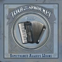 Toad the Wet Sprocket - Something's Always Wrong (Acoustic)
