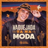 Jo&atilde;o Gomes - Vaquejada t&aacute; na moda