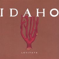 Idaho - Levitate