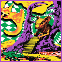 King Gizzard & The Lizard Wizard - Live in Oregon '24