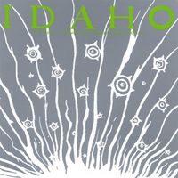 Idaho - We Were Young And Needed The Money