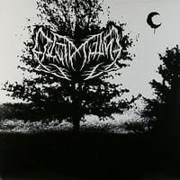 Leviathan - The Speed of Darkness