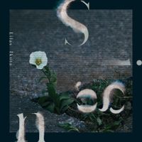 Lilas - Sign