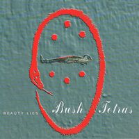 Bush Tetras - Beauty Lies