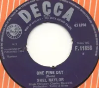 Shel Naylor - One Fine Day / It's Gonna Happen Soon