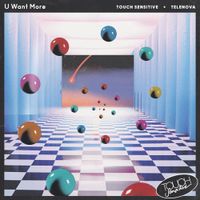Touch Sensitive - U Want More