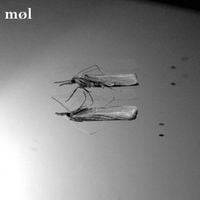 MØL - M&oslash;l