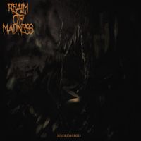 Realm Of Madness - Underworld