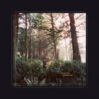 Haley Heynderickx - Wild God