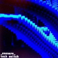 _ensnare_ - Tech Switch