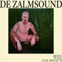 Ron Van Zalmsaus - De Zalmsound