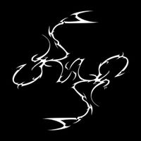 Ptasinski - detachment