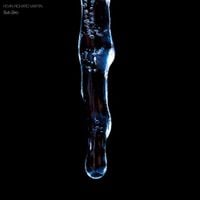 Kevin Richard Martin - Sub Zero