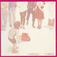 P-Model - Landsale