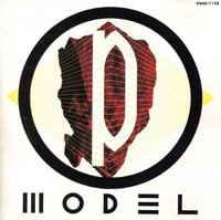 P-Model - P-MODEL