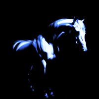 OQI96 - Horse