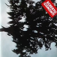 Egberto Gismonti - Arvore